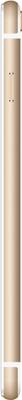 REACH ALLURE + 8 GB (Golden)