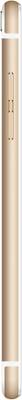 REACH ALLURE + 8 GB (Golden)