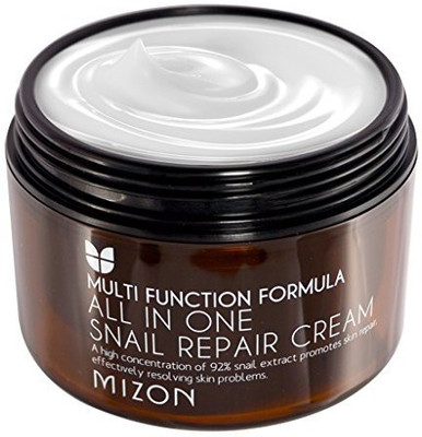 

MIZON All In One Snail Repair Cream(120 ml)