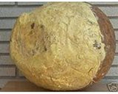 

Nature and herbs 100% Organic West African Shea Butter(480 ml)