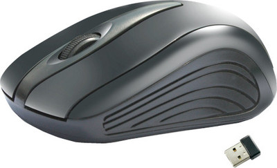 

Amkette Ergo FMS271P Wireless Optical Mouse(USB, Black)