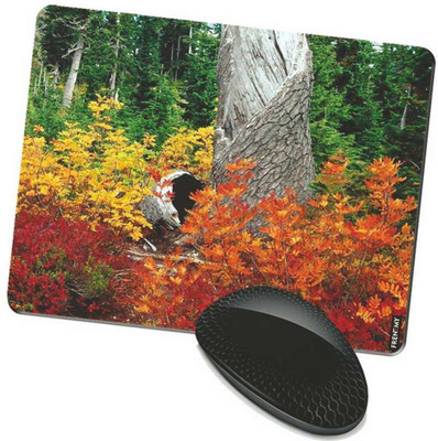 

FRENEMY MPAD6416 Mousepad(Multicolor)