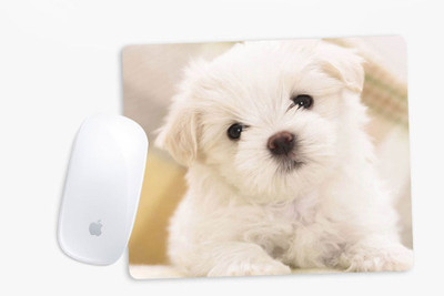 

Sowing Happiness SHMUSPD132 Mousepad(Multicolor)