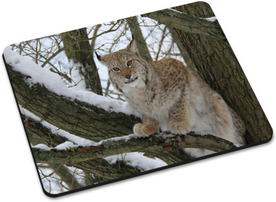

Shoprider DESGINER MOUSEPAD-998 Mousepad(Multicolor)