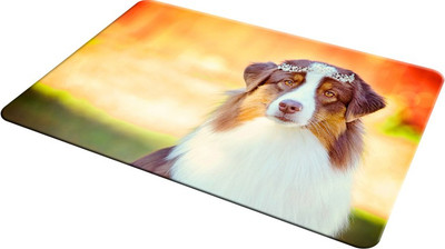 

EMPRESSION EMP-LOT2-417 Mousepad(Multicolor)