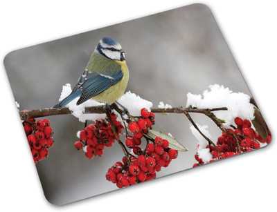 

Shoprider Desginer-742 Mousepad(Multicolor)