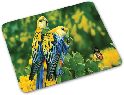 

Shoprider Desginer-741 Mousepad(Multicolor)