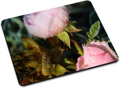 

Shoprider DESGINER MOUSEPAD-003 Mousepad(Multicolor)