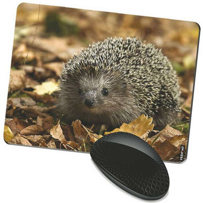 

FRENEMY MPAD4849 Mousepad(Multicolor)