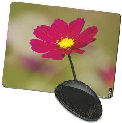 

FRENEMY MPAD2282 Mousepad(Multicolor)