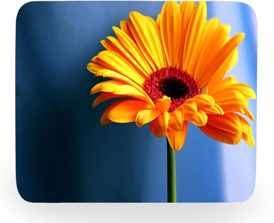 

PhotogiftsIndia Orange Sunflower Mousepad(Multicolor)