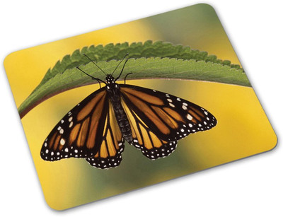 

Shoprider Desginer-766 Mousepad(Multicolor)