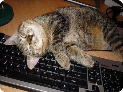 

SYL Sleeping Cat Mousepad(Multicolor)