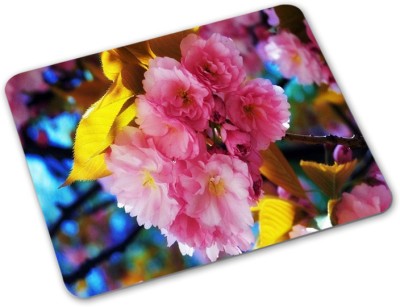 

Shoprider Desginer-605 Mousepad(Multicolor)