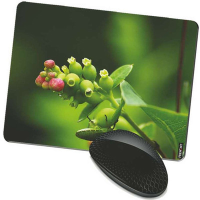 

FRENEMY MPAD9326 Mousepad(Multicolor)