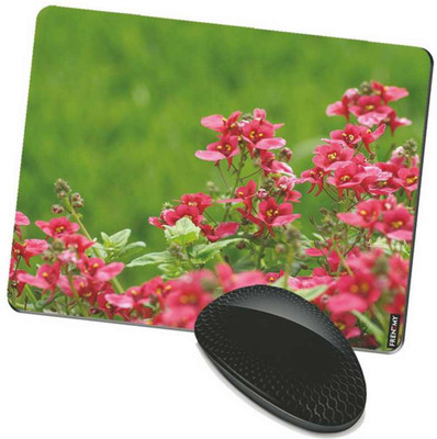 

FRENEMY MPAD6036 Mousepad(Multicolor)