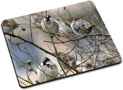 

Shoprider DESGINER MOUSEPAD-314 Mousepad(Multicolor)