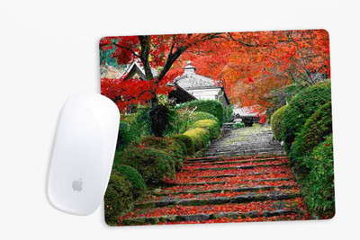 

Sowing Happiness SHMUSPD066 Mousepad(Multicolor)