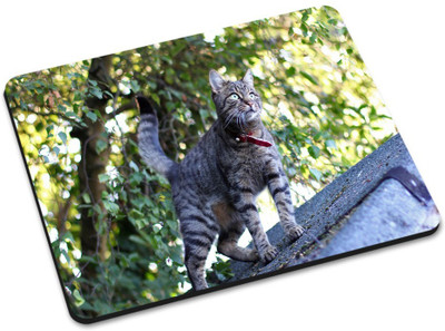 

Shoprider DESGINER MOUSEPAD-035 Mousepad(Multicolor)
