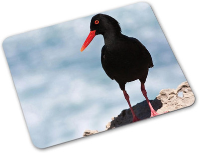 

Shoprider Desginer-752 Mousepad(Multicolor)