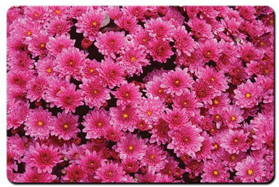 

Shopmania MULTICOLOR-323 Mousepad(Multicolor)