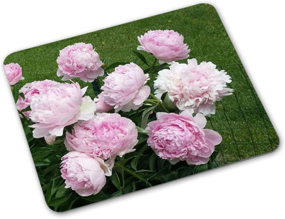 

Shoprider Desginer-719 Mousepad(Multicolor)