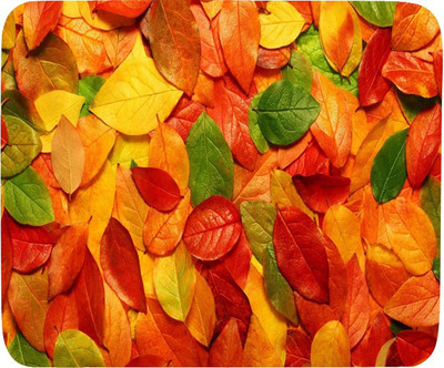 

PhotogiftsIndia Multi Color Leaves Mousepad(Multicolor)