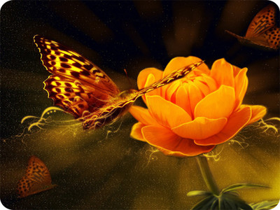 

SYL butterfly flower Mousepad(Multicolor)