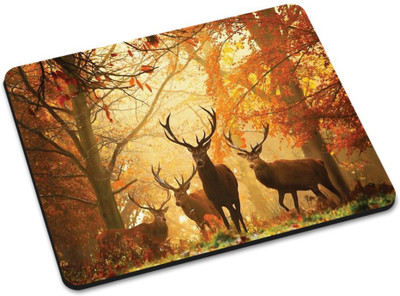 

Shoprider MULTICOLOR-155 Mousepad(Multicolor)