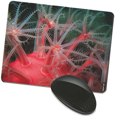 

FRENEMY MPAD8727 Mousepad(Multicolor)