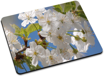 

Shoprider DESGINER MOUSEPAD-429 Mousepad(Multicolor)