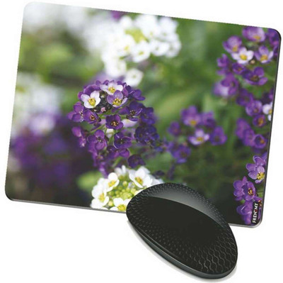 

FRENEMY MPAD4955 Mousepad(Multicolor)
