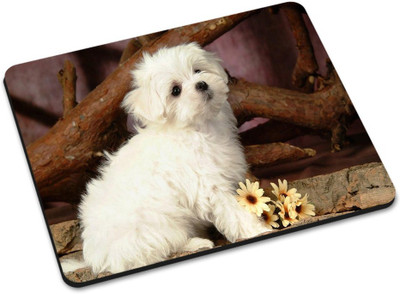 

Shoprider DESGINER MOUSEPAD-820 Mousepad(Multicolor)