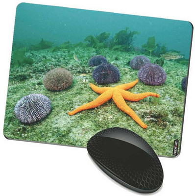 

FRENEMY MPAD8122 Mousepad(Multicolor)
