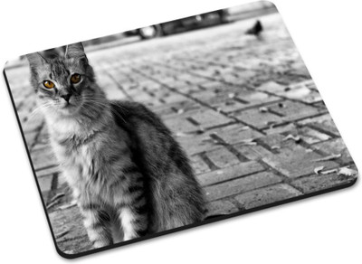 

Shoprider DESGINER MOUSEPAD-941 Mousepad(Multicolor)