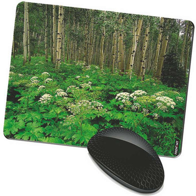 

FRENEMY MPAD7432 Mousepad(Multicolor)