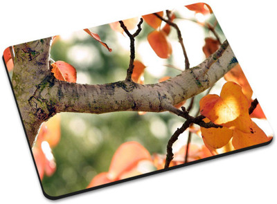 

Shoprider MULTICOLOR-681 Mousepad(Multicolor)
