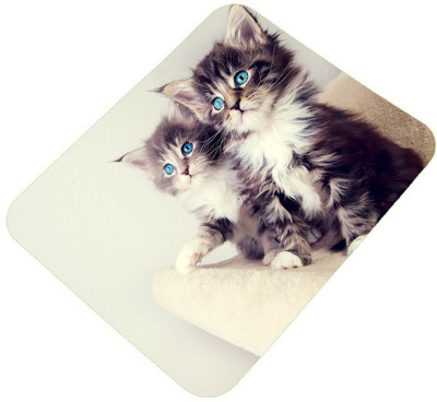 

Clapcart India Clapcartindia86 Mousepad(Multicolor)