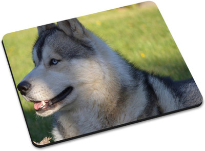 

Shoprider DESGINER MOUSEPAD-531 Mousepad(Multicolor)
