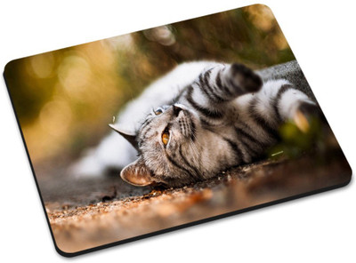 

Shoprider DESGINER MOUSEPAD-665 Mousepad(Multicolor)