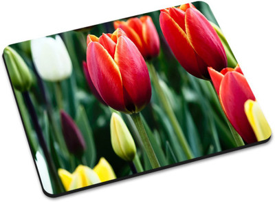 

Shoprider MULTICOLOR-851 Mousepad(Multicolor)