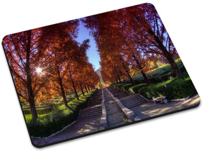 

Shoprider MULTICOLOR-866 Mousepad(Multicolor)