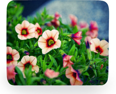 

PhotogiftsIndia Flowery Mousepad(Multicolor)