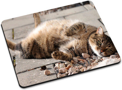 

Shoprider MULTICOLOR-968 Mousepad(Multicolor)
