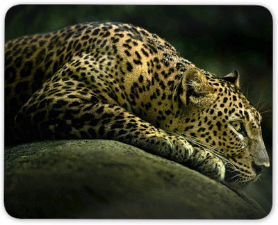 Digiclan Digiclan Multicolor Leopard Mouse Pad SZMP035 Mousepad Multocolor Digiclan Computer Peripherals