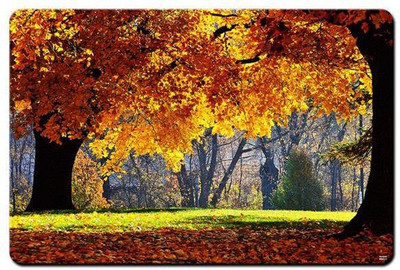 

Shopmania MULTICOLOR-259 Mousepad(Multicolor)