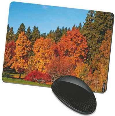 

FRENEMY MPAD6934 Mousepad(Multicolor)