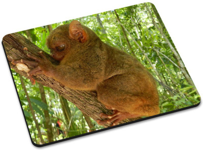 

Shoprider MULTICOLOR-995 Mousepad(Multicolor)