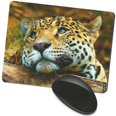 

FRENEMY MPAD8722 Mousepad(Multicolor)