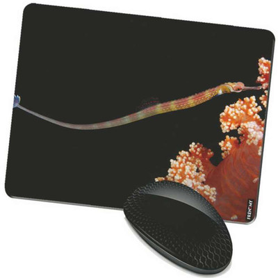 

FRENEMY MPAD8892 Mousepad(Multicolor)